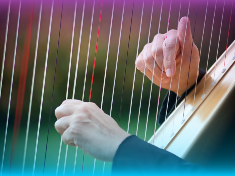 Beginner Harp Techniques: Essential Skills Every New Harp Player Needs